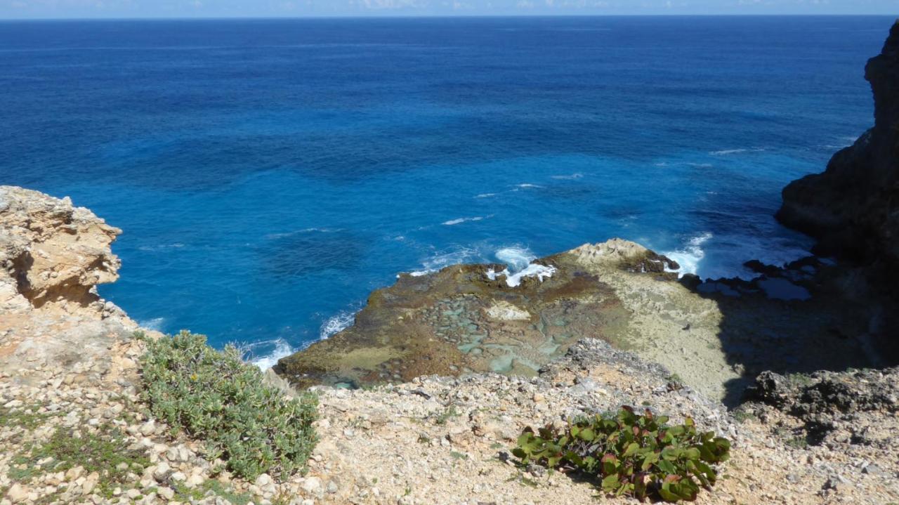 Appartement Proche De La Mer Ty Manganao Saint-Francois  Dış mekan fotoğraf